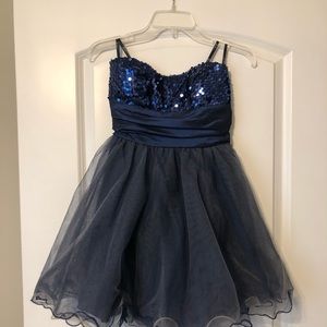 Cinderella Blue Dress